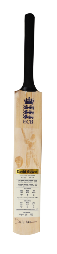 David Gower