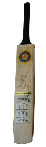 Dilip Vengsakar